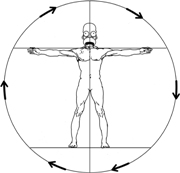 The Musculoskeletal Ecosystem