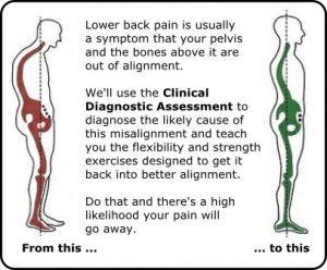 The musculo-skeletal health program